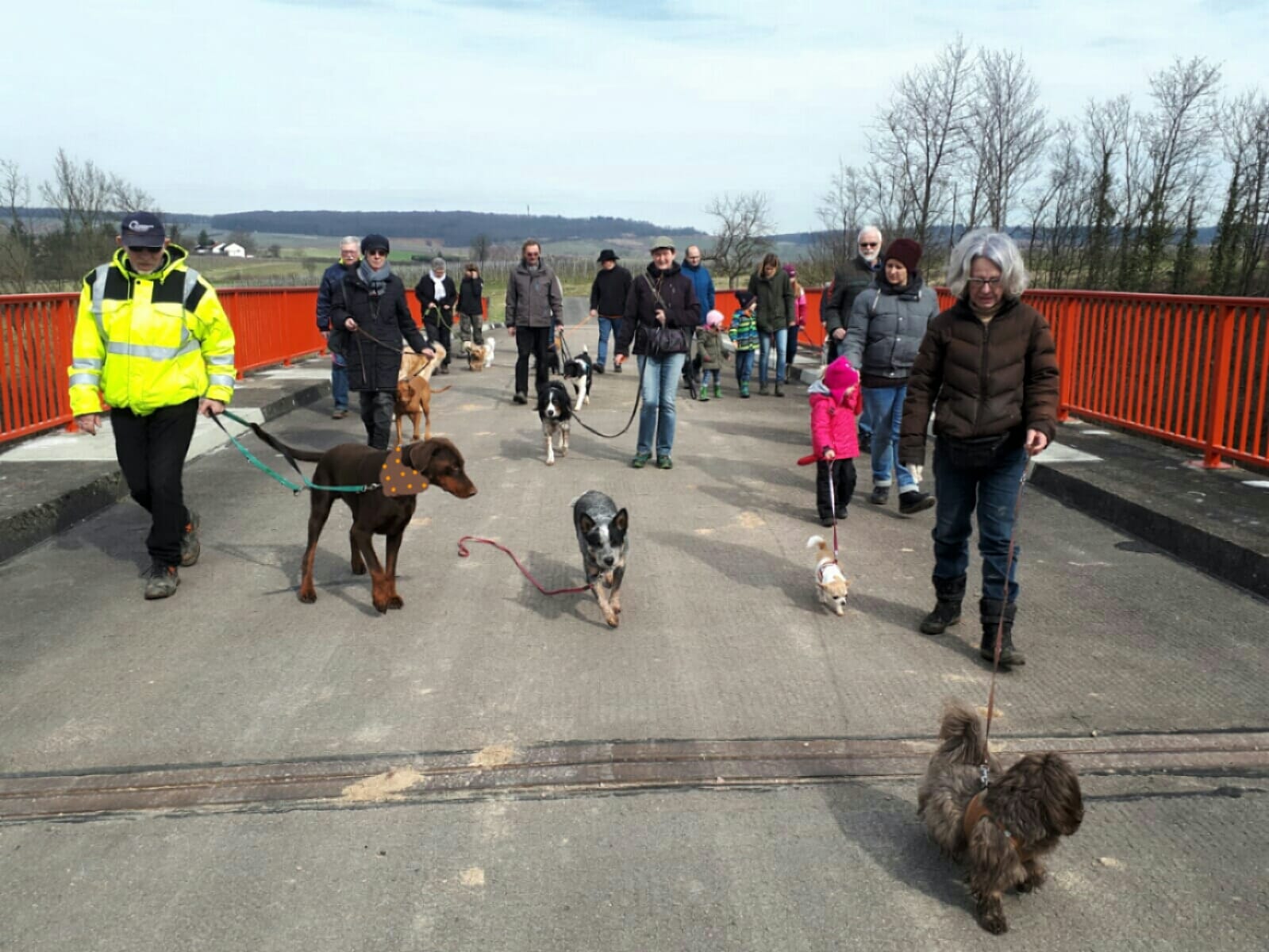 Verein Der Hundefreunde Nahe Hunsrück Ev Startseite 2591